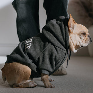 Frenchie Dog Hoodie - Frenchie Sport