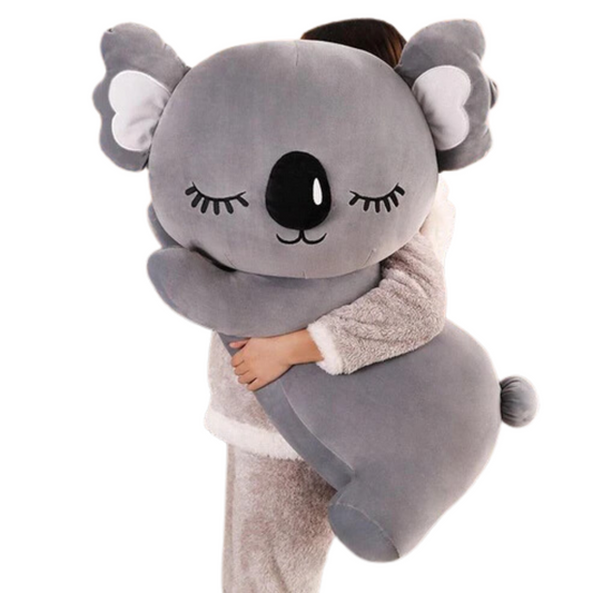 New Arrival 2023 Lovely Plush Koala Bear Toy with T-Shirt Print Own Logo -  China Plush Koala Clip and Plush Toys price