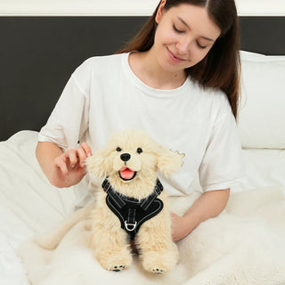 2.2lbs Golden Retriever Plush – Weighted Emotional Support Toy Gift