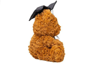 Graduation Stuffed Plush Teddy Bear 11.81"