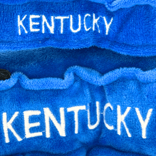 Kentucky Stuffed States Magnet | Plushie Depot