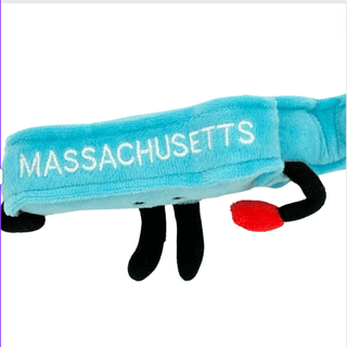 Massachusetts Stuffed States Magnet | Plushie Depot