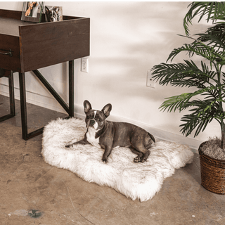 PupRug by Paw.com™ Faux Fur Orthopedic Dog Bed - Curve White with Brown Accents