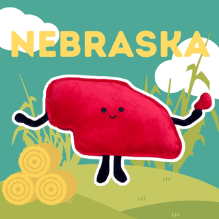 Nebraska State Stuffed Plush | Plushie Depot