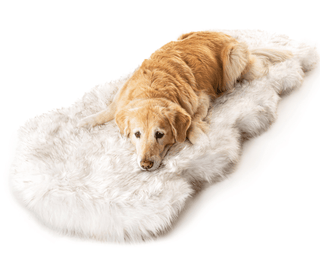 PupRug™ Runner Faux Fur Memory Foam Dog Bed - Curve White with Brown Accents | Plushie Depot