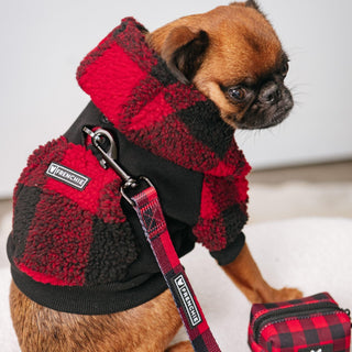 Frenchie Dog Hoodie - Red and Black Plaid