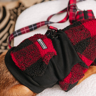 Frenchie Dog Hoodie - Red and Black Plaid