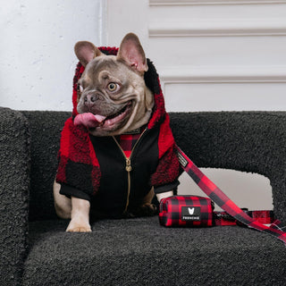 Frenchie Dog Hoodie - Red and Black Plaid | Plushie Depot