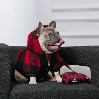 Frenchie Dog Hoodie - Red and Black Plaid