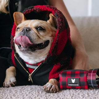 Frenchie Dog Hoodie - Red and Black Plaid | Plushie Depot