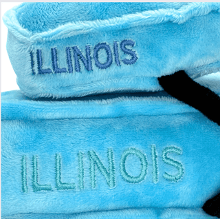 Illinois Stuffed States Keychain | Plushie Depot