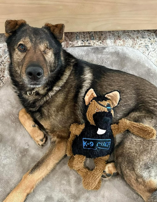 HuggleCause™, Project K-9 Hero, K-9 Chief Knottie® Plush Dog Toy, Large