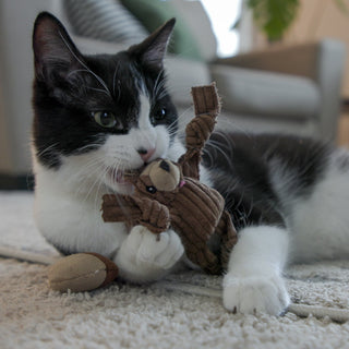 HuggleKats® Wee Chippie and His Acorn Cat Toy Set