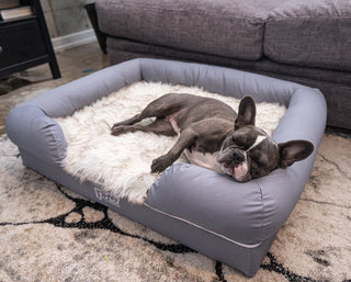 PupLounge™ Memory Foam Bolster Bed & Topper Dog Beds - Plushie Depot