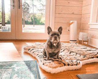 PupRug™ Animal Print Memory Foam Dog Bed - Tiger Faux Print | Plushie Depot