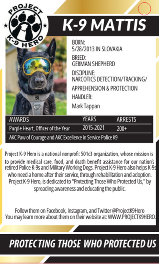 HuggleCause™, Project K-9 Hero, K-9 Mattis Knottie® Plush Dog Toy, Large