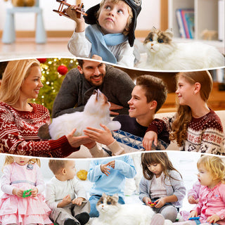 MateCat1.1 Robot Cat – Companion Toy for Sensory Comfort