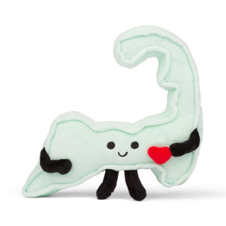Cape Cod Stuffed State Plush – Collectible & Educational | Stuffed States USA