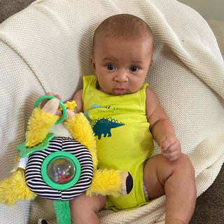 Marley Activity Toy Bundle