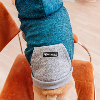 Frenchie Dog Hoodie - Blue & Grey