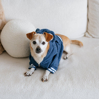 Frenchie Dog Hoodie - Blue Teddy