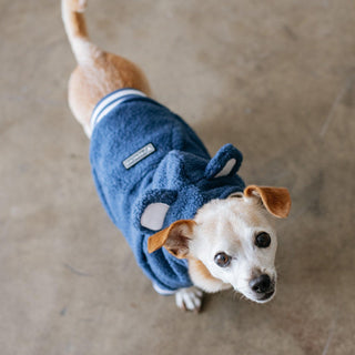 Frenchie Dog Hoodie - Blue Teddy | Plushie Depot