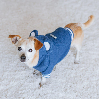 Frenchie Dog Hoodie - Blue Teddy