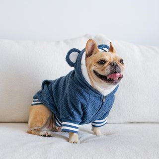 Frenchie Dog Hoodie - Blue Teddy | Plushie Depot