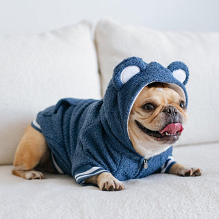 Frenchie Dog Hoodie - Blue Teddy | Plushie Depot