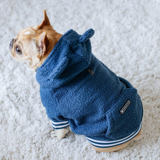 Frenchie Dog Hoodie - Blue Teddy | Plushie Depot