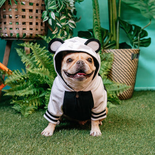 Frenchie Dog Hoodie - Panda Bear | Plushie Depot