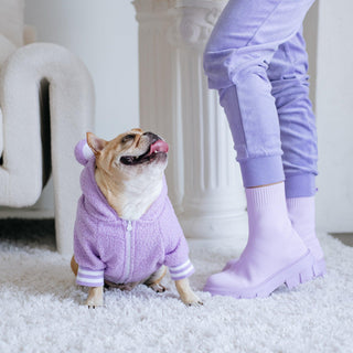 Frenchie Dog Hoodie - Purple Teddy | Plushie Depot