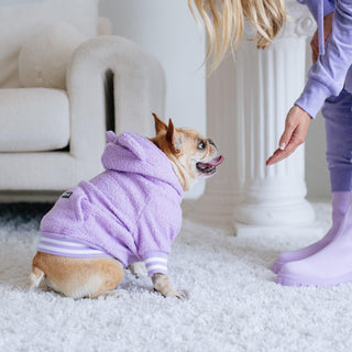 Frenchie Dog Hoodie - Purple Teddy | Plushie Depot