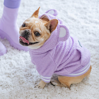 Frenchie Dog Hoodie - Purple Teddy | Plushie Depot