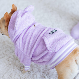 Frenchie Dog Hoodie - Purple Teddy | Plushie Depot