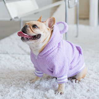 Frenchie Dog Hoodie - Purple Teddy | Plushie Depot