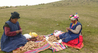 Vizsla Hand Knit Christmas Ornament Arcadia Home