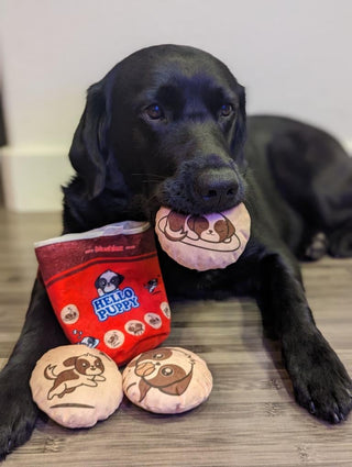 Hello Puppy 4 Piece Dog Toy