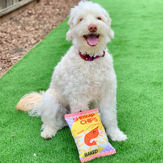 Shrimp Chips Dog Toy