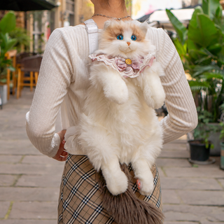 Ragdoll Cat Backpack – Cozy Companion for Travel & School