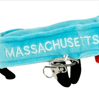 Massachusetts Bag Charm Mini Plush – 4-Inch Travel Accessory | Stuffed States USA"