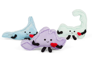 Cape Cod Stuffed State Plush – Collectible & Educational | Stuffed States USA