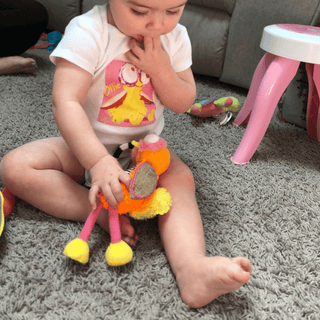 Ollie the Oddball Oddbird Chime & See Atachable Hanging Activity Toy