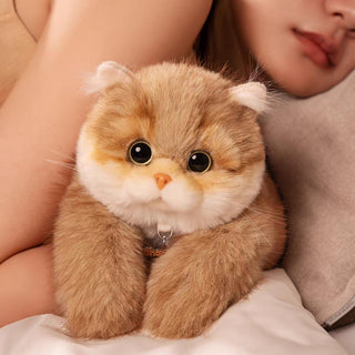 Silver British Shorthair Cat Plush