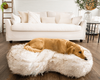 PupCloud™ Faux Fur Memory Foam Dog Bed - Curve White Plushie Depot