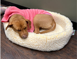 HuggleFleece® HuggleSnuggler™ Cat & Dog Beds