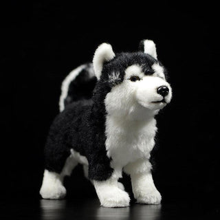 Cute Realistic Dog Plush Toys 10" Mandarin Duck Eye Husky - Plushie Depot