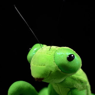 Lifelike Praying Mantis Plush Toys Plushie Depot