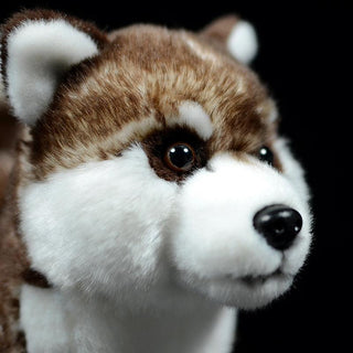 Realistic Cute Brown Husky Plushie Stuffed Animals - Plushie Depot