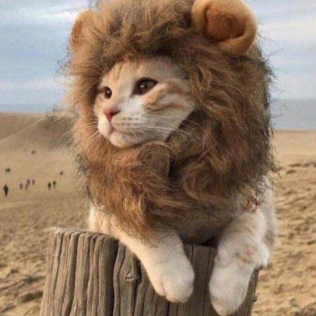 Hilarious and Funny Cat Lion Mane Plush Plushie Depot